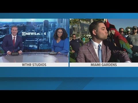 13 Sports reporter Dominic Miranda kisses parrot ahead of Notre Dame vs. Penn State playoff game