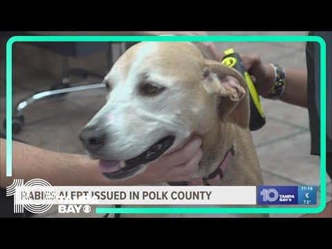 Owners hesitant to vaccine pets as rabies cases identified in Polk County