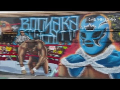 Business removes WWE Rey Mysterio mural