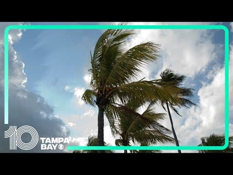 LIVE RADAR | Pop-up showers, storms possible for Tampa Bay area