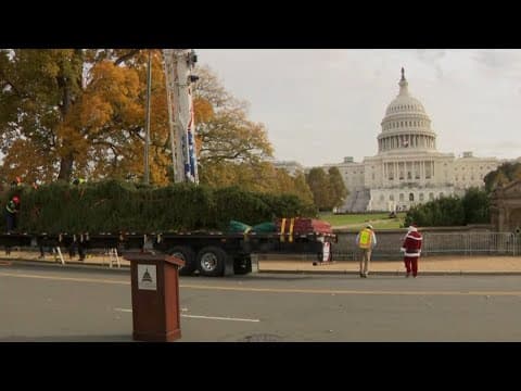 Christmas delivery: Capitol Christmas Tree arrives on the National Mall