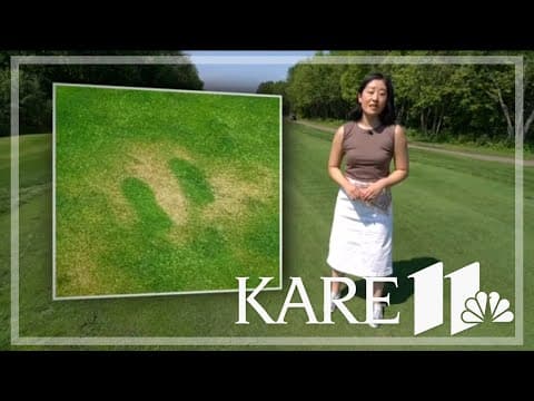 Bug spray science: Golden Valley teens behind novel research