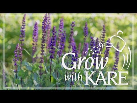 Grow with KARE: Hot gardening trends from Monrovia