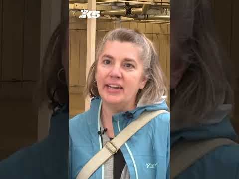 Molbak's, a Woodinville institution for 67 years, closes its doors