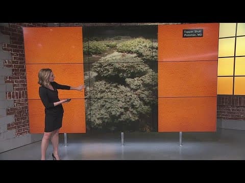 Blustery day ahead after snow, rain ends