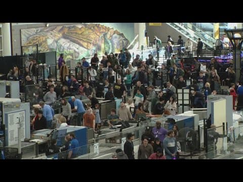 Travelers pack DIA during busy holiday season