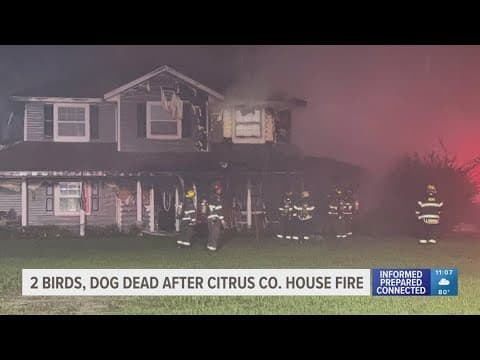 2 birds, 1 dog dead in Citrus County house fire caused by lightning strike