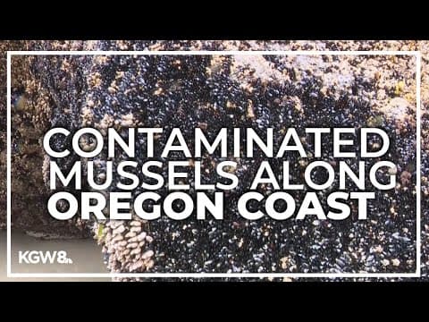 Don't gather mussels from northern Oregon Coast, state health officials warn