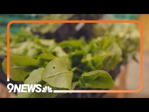 Cooking climate change: How the Olympics is green meals