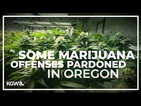 Governor Kate Brown pardons about 45,000 people for marijuana offenses