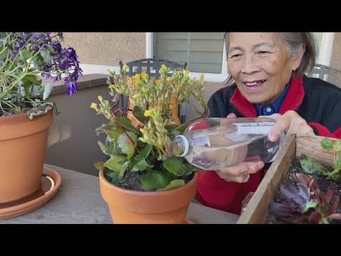 Lucy's Legacy | CBS 8's Marcella Lee pays tribute to her mother's journey