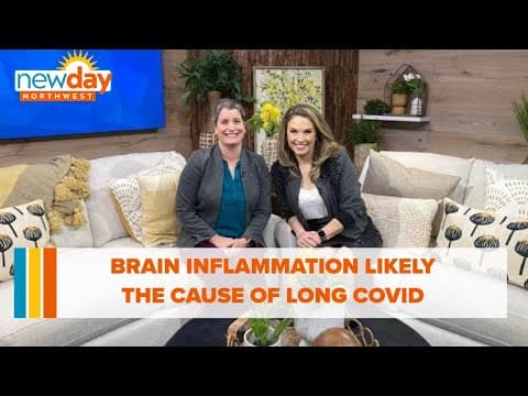 Brain inflammation likely cause of long COVID - New Day NW