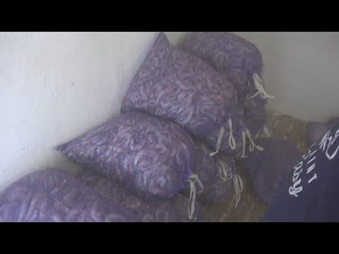 Texas shrimpers say they are off to a slow start to their season