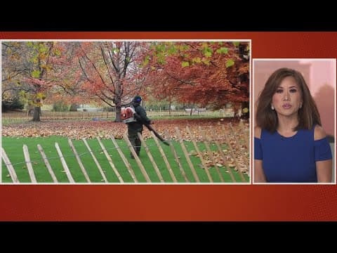 Are gas-powered leaf blowers making a comeback in Montgomery County?