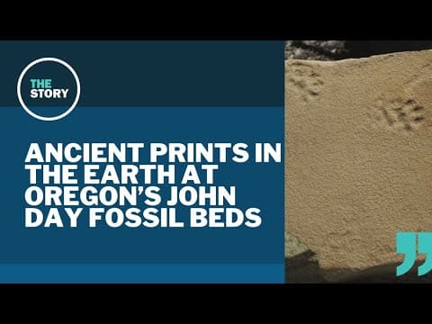 New study illuminates animal tracks at John Day Fossil Beds many millions of years old