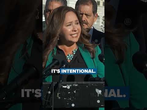 Grijalva Says Johnson Blocking Her Swearing-In Over Epstein Files Vote | “This Delay Is Intentional”