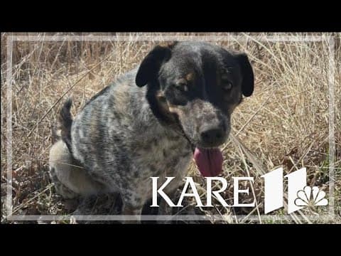 Morning News Headlines | Saturday, April 13