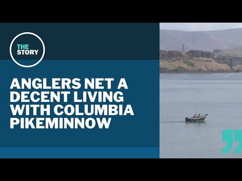 Top angler of predatory fish in the Columbia River takes home over $100K