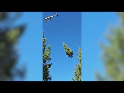 How Santa's helpers are prepping for the holiday season across North Texas