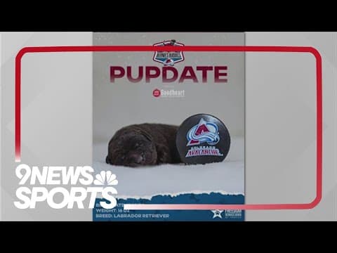 Meet Maxy: The Colorado Avalanche's new team dog