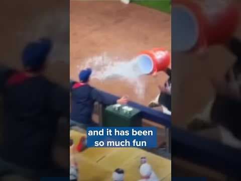 Minnesota Twins fans embracing the “We Believe” mindset in the postseason!