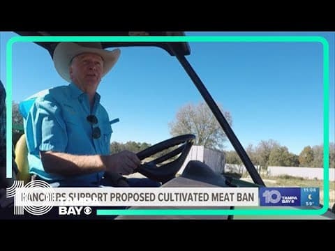 Florida ranchers support possible ban on lab-grown meat