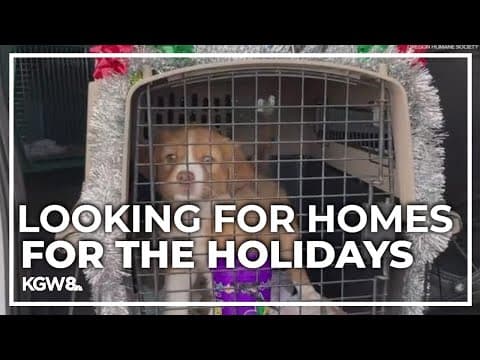Oregon Humane Society takes in 34 dogs for its Second Chance program