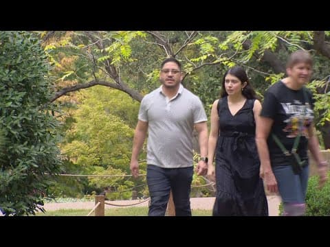 Weather forces Fort Worth Botanic Gardens to cancel Japanese Fall Festival