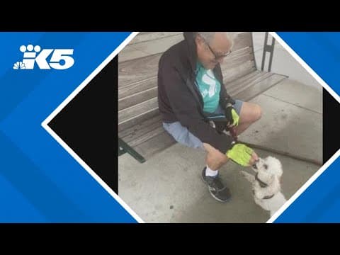 Tacoma resident spreads awareness after dog's sudden death at popular park