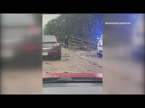 High winds knock down trees in Tangipahoa Parish