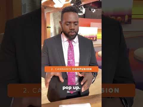 #3Things this week: traffic cone conflict; cannabis confusion; mosquito resilience. #kare11 #shorts