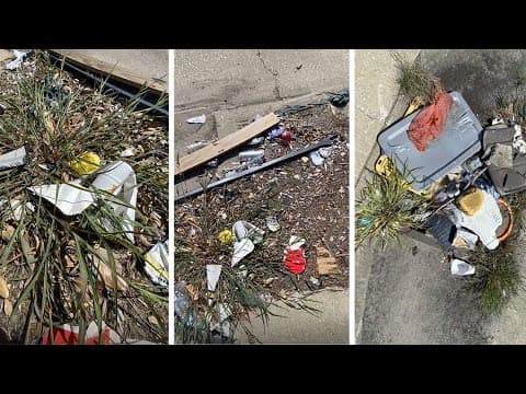 Catch basins on I-10 near where New Orleans meets Metairie are full of junk