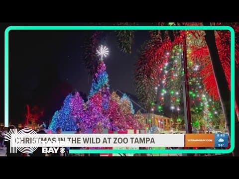 Tampa Bay to Z: Holiday activities open up around the Bay area