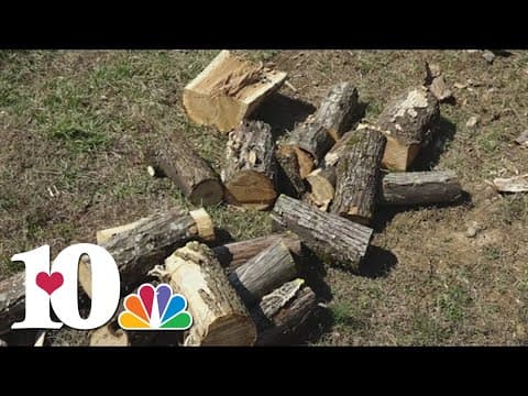 UT starting firewood bank program for those in need, expected to start offering firewood in the fall