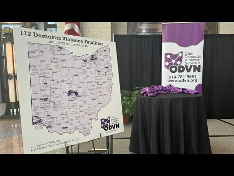 112 domestic violence deaths in Ohio in the last year, including 22 young people