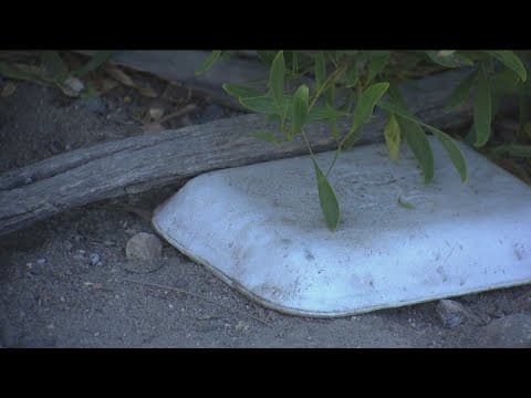Oceanside bans polystyrene foam in businesses