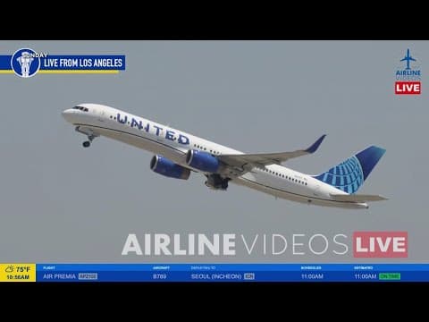 Boeing 757 wheel falls off after takeoff in Los Angeles