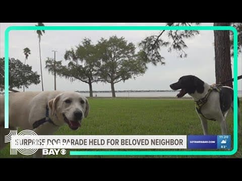 Surprise dog parage held for beloved neighbor