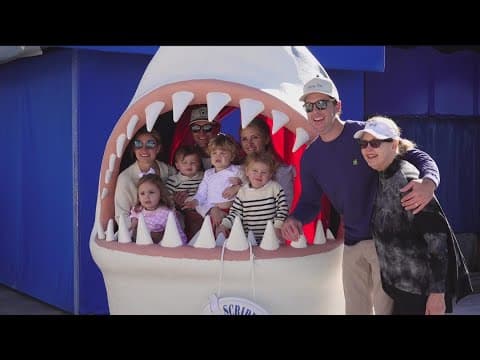Popular giant shark head returns to Birch Aquarium