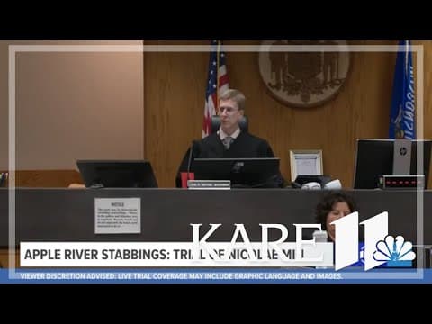 WATCH LIVE: Apple River stabbings: Nicolae Miu trial - Day 4 (Afternoon)