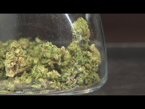 Dallas voters set to decide on 'decriminalization' of 4oz of marijuana possession, police chief oppo