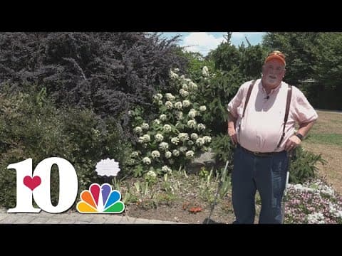 How to take care of your hydrangeas during the heat