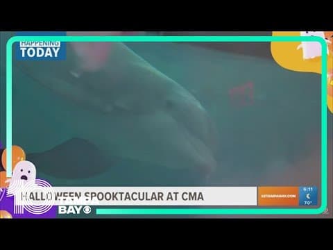 Happening Today: Halloween Spooktacular at Clearwater Marine Aquarium, Howl-o-Scream at Busch Garden