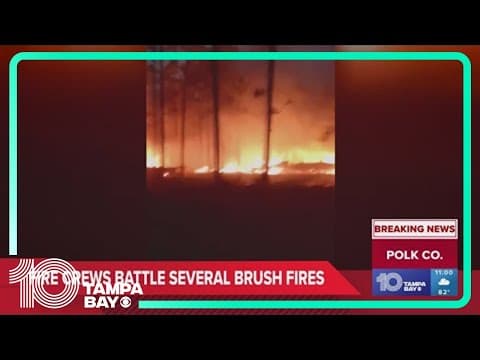 Brush fires burn 900 acres in Polk County
