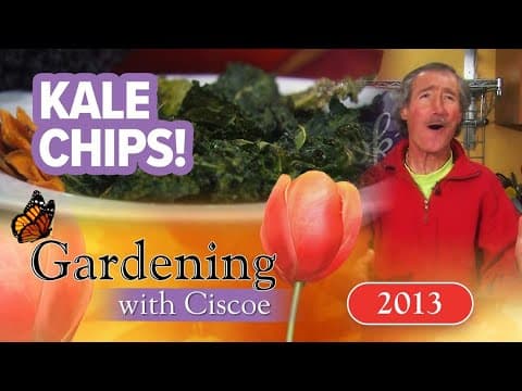 KALE CHIPS! A Delicious and Healthy Snack! | Gardening With Ciscoe | Full Episode