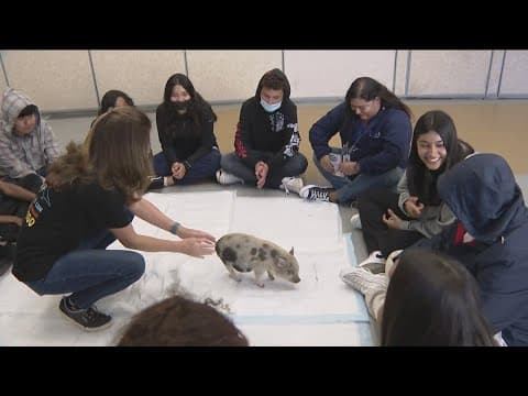 City of San Diego offers new animal care program to South Bay children