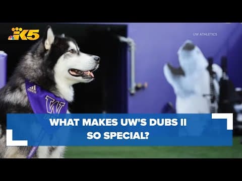 Huskies keep winning on the field, Dubs II wins hearts everywhere