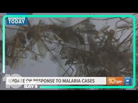 Leaders to give update on spread of malaria in Sarasota