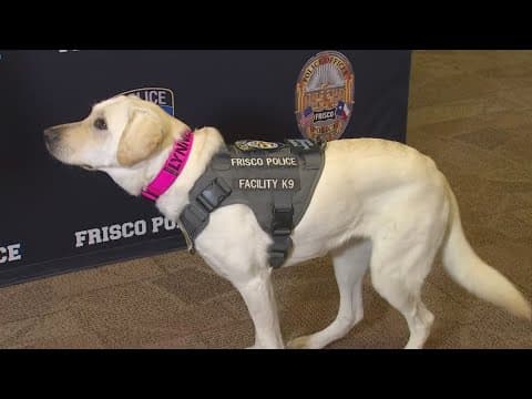 From prison to police - meet the Frisco police department's newest officer