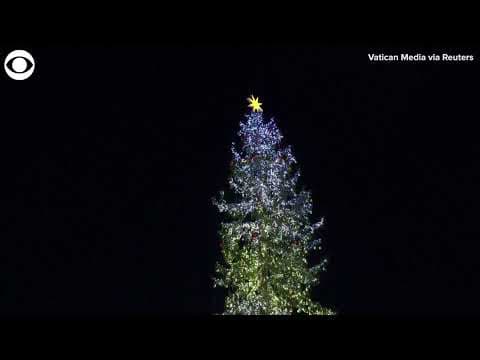 Vatican lights Christmas tree and unveils nativity scene for 2024 holiday season
